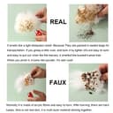 Thumbnail 7 de OGLAND 20" Genuine Australian Sheepskin Car Seat Cover 🚗