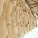 Thumbnail 8 de OGLAND 20" Genuine Australian Sheepskin Car Seat Cover 🚗