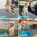 Thumbnail 6 de OLANLY Dog Door Mat 30x20 Absorbent Mud Mat 🐾