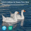 Thumbnail 3 de Pacific Coast Goose Feather Down Comforter 106"x90" 🛏️