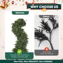 Thumbnail 2 de 2 Pcs 6ft Cypress Garland 160-branch Christmas greenery 🎄