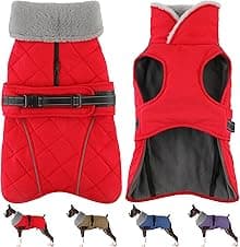 Petglad Dog Coat, Waterproof Winter Jacket for Dogs ⚙️