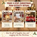 Thumbnail 3 de Positive Dachshund Jar with 60 Cards ⚙️