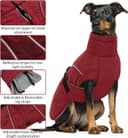 Thumbnail 3 de Queenmore XL Dog Coat Waterproof puffy jacket 🐶