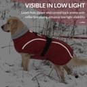 Thumbnail 5 de Queenmore XL Dog Coat Waterproof puffy jacket 🐶