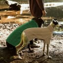 Thumbnail 5 de Queenmore XL Dog Sweater XL warm turtleneck for retriever 🐶