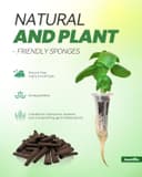 Thumbnail 3 de RAINPOINT 134PCS Hydroponic Pods Kit for Aerogarden 🌱