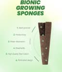 Thumbnail 6 de RAINPOINT 134PCS Hydroponic Pods Kit for Aerogarden 🌱