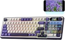RK Royal Kludge S98 96% Wireless Mechanical Keyboard ⌨️