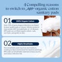 Thumbnail 3 de Rpe Life 100% Organic Long Panty Liners 192ct 🩲