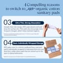 Thumbnail 4 de Rpe Life 100% Organic Long Panty Liners 192ct 🩲