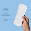 Thumbnail 5 de Rpe Life 100% Organic Long Panty Liners 192ct 🩲