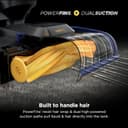 Thumbnail 2 de Shark CarpetXpert HairPro Upright Cleaner with 2 Tools ⚙️