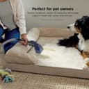 Thumbnail 5 de Shark CarpetXpert HairPro Upright Cleaner with 2 Tools ⚙️