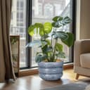 Thumbnail 1 de SQOWL Ceramic Planter 10-inch indoor plant pot 🪴