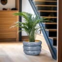 Thumbnail 5 de SQOWL Ceramic Planter 10-inch indoor plant pot 🪴