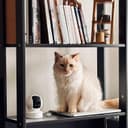 Thumbnail 1 de TP-Link Kasa EC70 1080p Pan/Tilt Camera 📷