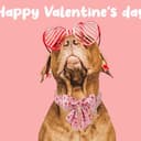 Thumbnail 2 de UP URARA PUP Valentine’s Day Dog Collar L 🐶