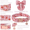 Thumbnail 3 de UP URARA PUP Valentine’s Day Dog Collar L 🐶