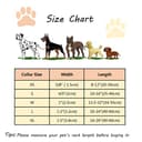 Thumbnail 5 de UP URARA PUP Valentine’s Day Dog Collar L 🐶