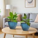 Thumbnail 4 de Vanslogreen 8" plant pots pack of 4 🌿🪴