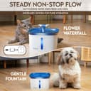 Thumbnail 1 de Veken 2.8L Pet Fountain with Filters 🐶