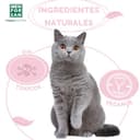 Thumbnail 4 de MENFORSAN Katzenhygiene-Paket mit Shampoo 300ml 🐱