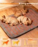Thumbnail 1 de Mora Pets Heizdecke 89×61 cm, 9-stufige Heizdecke 🐶
