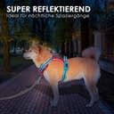 Thumbnail 3 de PHOEPET Anti-Zug Hundegeschirr verstellbar für Hunde 🐶