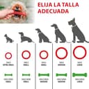 Thumbnail 3 de Ferplast jouet chien distributeur croquettes arôme poulet 🎧