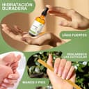 Thumbnail 7 de Huile de jojoba bio 50 ml ⚙️