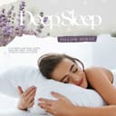 Thumbnail 4 de Hydrolat de Hamamelis Bio, tonique facial 250 ml ⚙️