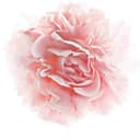 Thumbnail 5 de L'Oréal Paris Age Perfect Golden Age Soin FPS 20 Rosé 📷