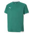 Thumbnail principal de PUMA Jersey Junior Pepper Green-puma White 140 EU ⚙️