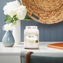 Thumbnail 5 de Yankee Candle bougie parfumée 1 mèche 🕯️