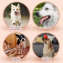 Thumbnail 4 de Nobleza L10 cm snack masticabili per cuccioli 6×80 g 🐶