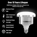 Thumbnail 4 de Set 2 Softbox 40x40 cm con lampade LED 95W per studio fotografico 📷