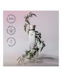 Thumbnail 2 de Adolfo Dominguez Eau de Parfum Jazmín Tonka 120 ml