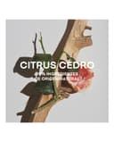 Thumbnail 2 de Adolfo Dominguez Eau de Toilette Citrus Cedro 200 ml perfume