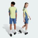 Thumbnail 1 de Ajax Tiro 24 Competition Pantalón corto entrenamiento (Adolescentes) 🩳