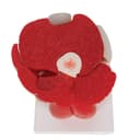 Thumbnail 7 de Modelo Anatómico Rodilla Humano 3B Scientific A882 🦵 con Músculos Desmontables