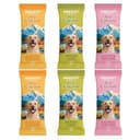 Thumbnail 2 de ARQUIVET Pack 6 helados para perro 300 g 🐶