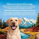 Thumbnail 3 de ARQUIVET Pack 6 helados para perro 300 g 🐶