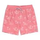 Thumbnail principal de Billabong Sundays Short de natación para hombre 🩳