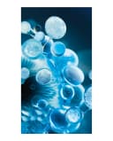 Thumbnail 3 de Biotherm Aquasource Hydra Barrier Cream 50 ml 🧴