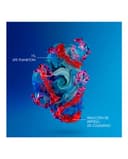 Thumbnail 3 de Biotherm Blue Peptides Uplift crema noche 50 ml