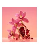 Thumbnail 4 de Calvin Klein Euphoria perfume 160 ml 😊