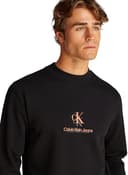 Thumbnail 3 de Calvin Klein Sudadera Shadow Logo Regular Fit XL