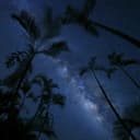 Thumbnail 4 de Canon RF 16mm F/2.8 STM objetivo gran angular para EOS R 📷