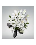 Thumbnail 1 de Carolina Herrera Good Girl Leg Elixir 150 ml — Aceite para piernas